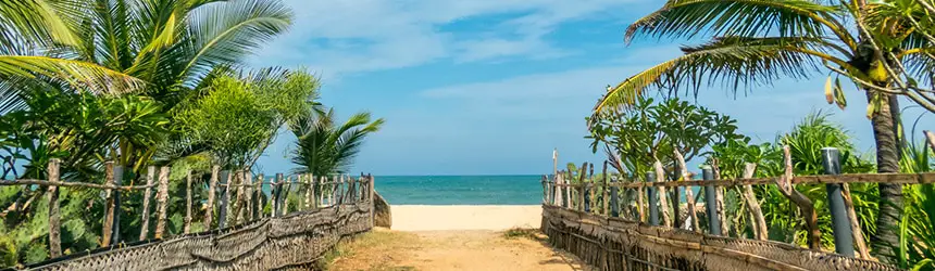 Arugam Bayn ranta Sri Lankassa