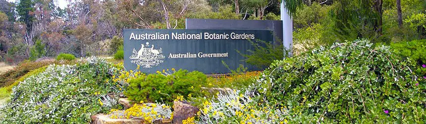 Botanic Gardens puutarha