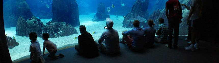 Oceanário de Lisboa –akvaariomaailm