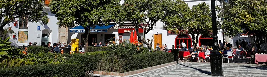 Plaza de los Naranjos aukio
