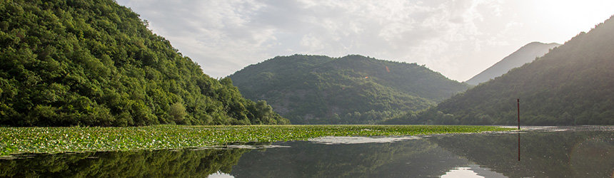 Skutarijärvi Montenegrossa